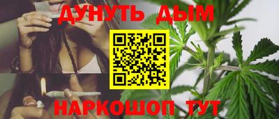 стаф Тула