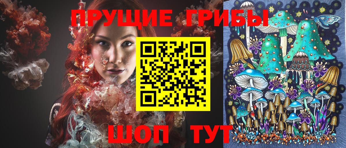 Нефтекумск  цена наркотик  Вход с VPN  Галлюциногенные грибы Cubensis 